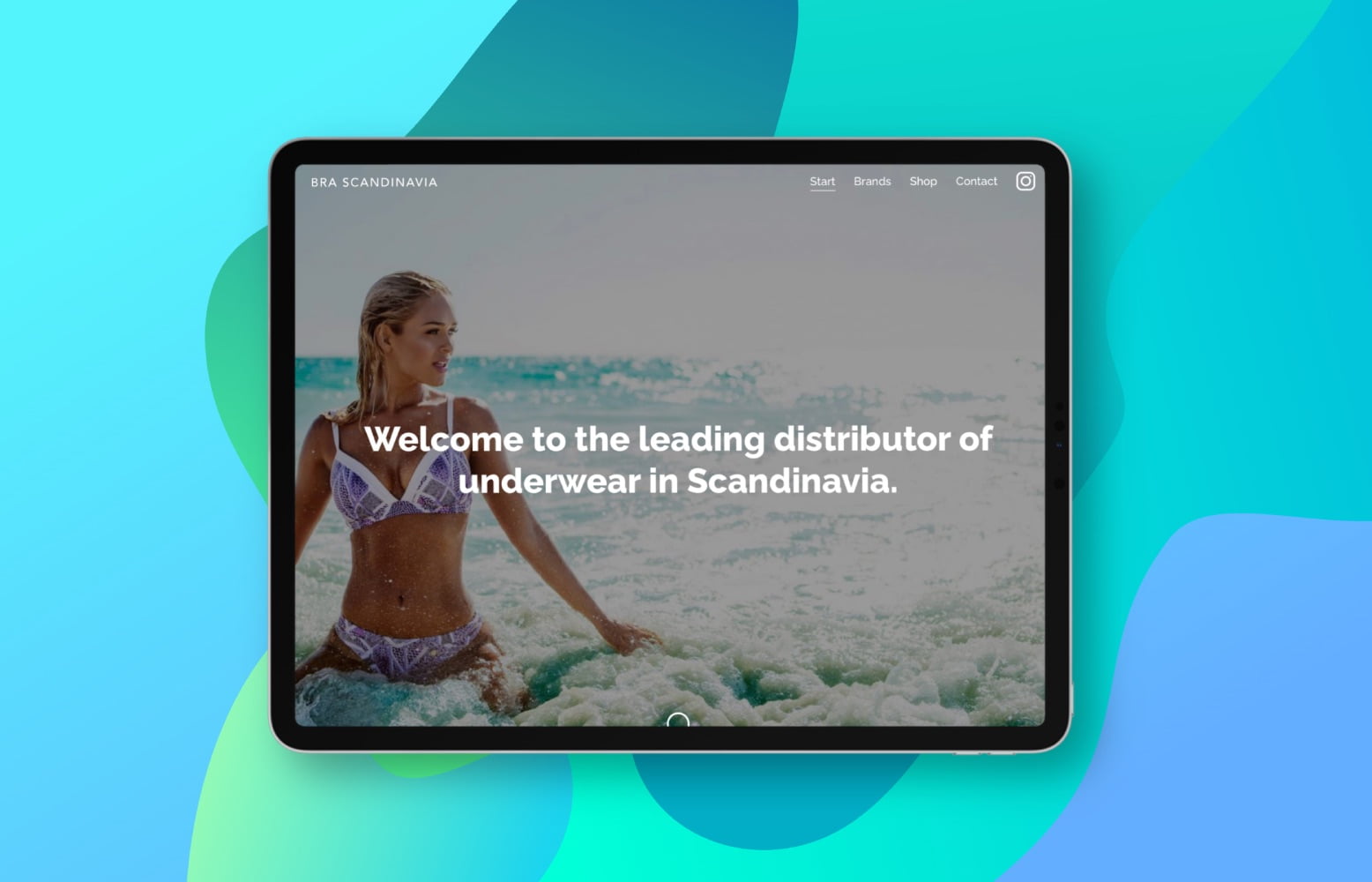 Hemsida åt underklädesdistributören Bra Scandinavia.